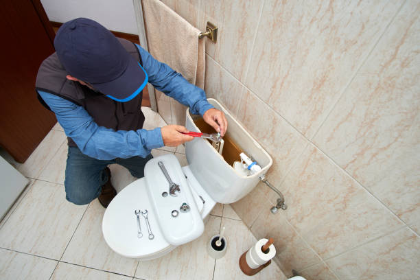 Best Plumbing Services Near Me  in Goldstream, AK