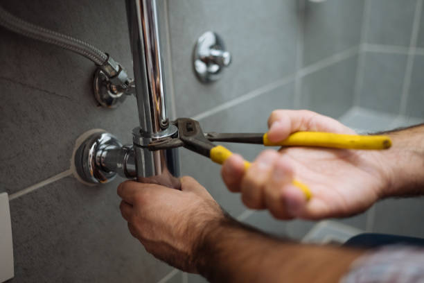 Best Best Plumbers Near Me  in Goldstream, AK