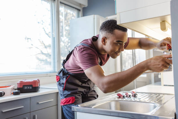 Best Best Plumbers Near Me  in Goldstream, AK