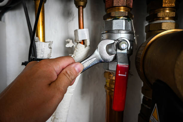 Best Sewer Line Repair  in Goldstream, AK